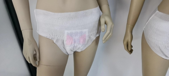 Menstrual Pads Pantประจำเดือน แผ่นอนามัย สำหรับผู้หญิง